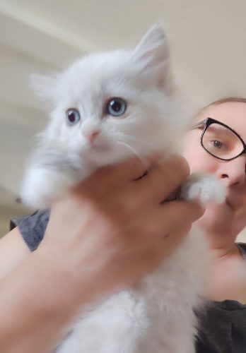 Wanessa-Kocieta-neva-masquerade