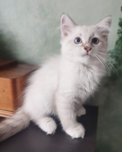 Winner-cudowny-chlopiec