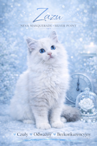 Zazu-Dumka-Pl-kocurek-neva-masquerade