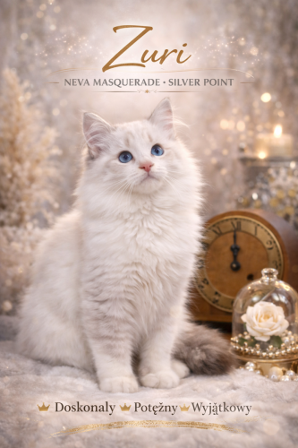 Zuri-Dumka-PL-silver-point